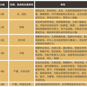 別讓你的馬“忍辱負(fù)重”！讀懂馬的疼痛、刻板行為與應(yīng)激