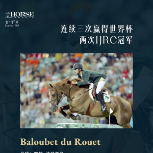 “人馬合一”的奇跡，是靠馬的天賦還是騎手的技巧？