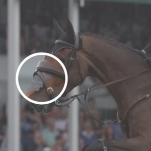 有效性尚存爭議，使用馬鼻貼是心理安慰嗎？